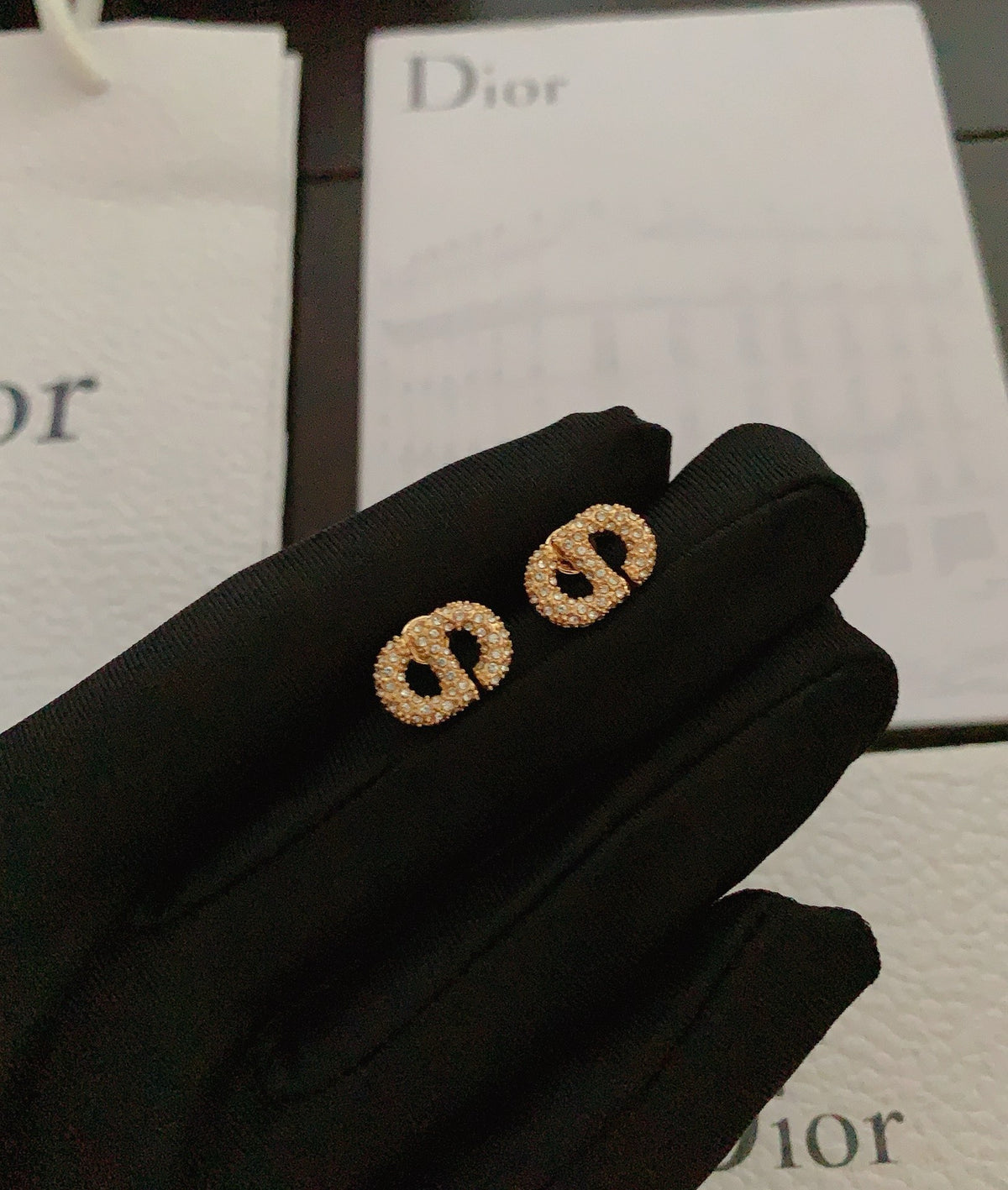 Dior Earrings