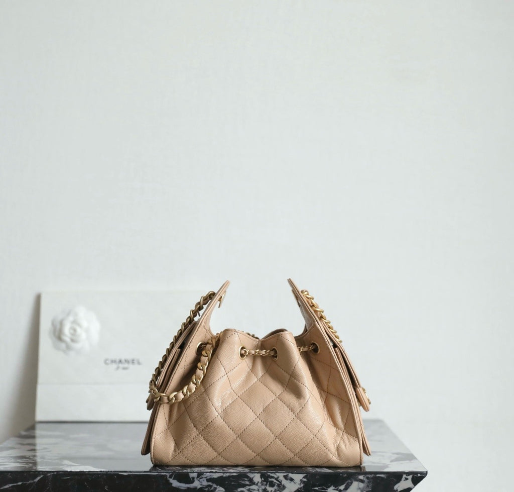Chanel 25