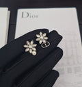 Dior Earrings