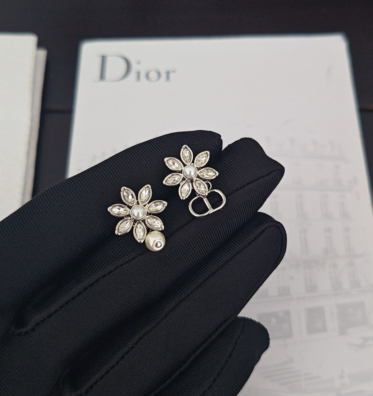 Dior Earrings