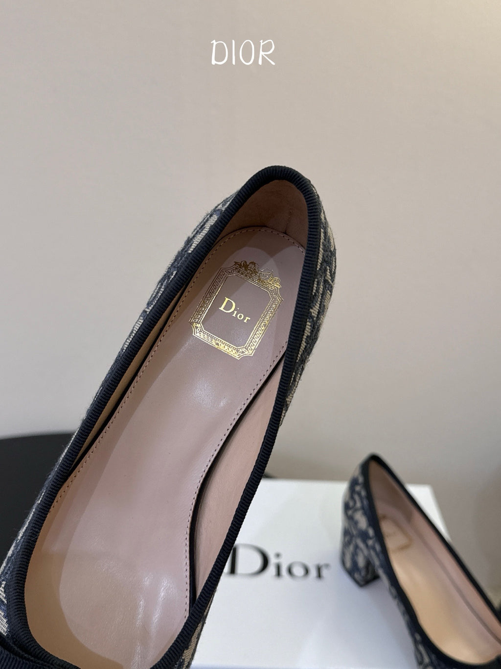 Dior Oblique Sandals