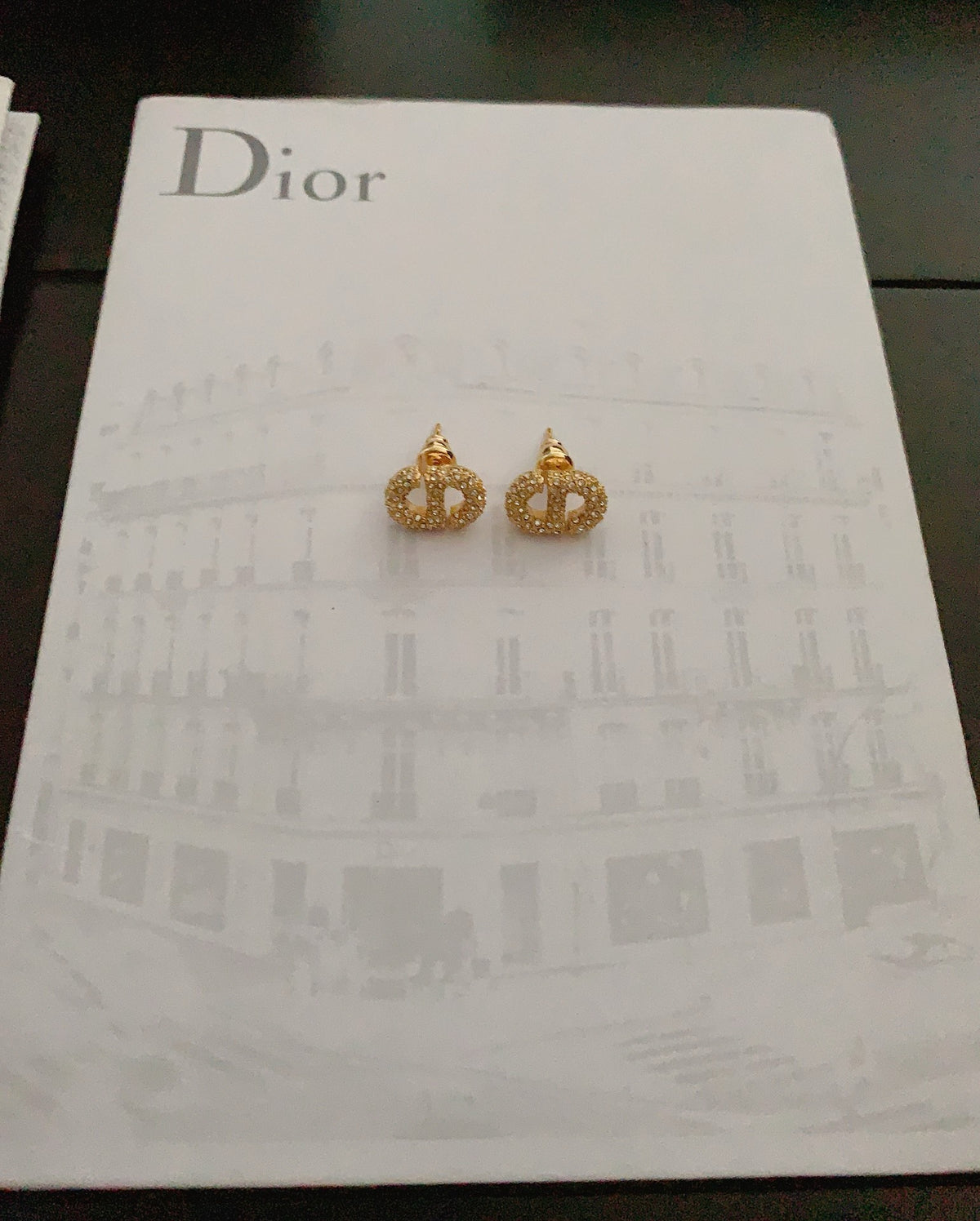 Dior Earrings