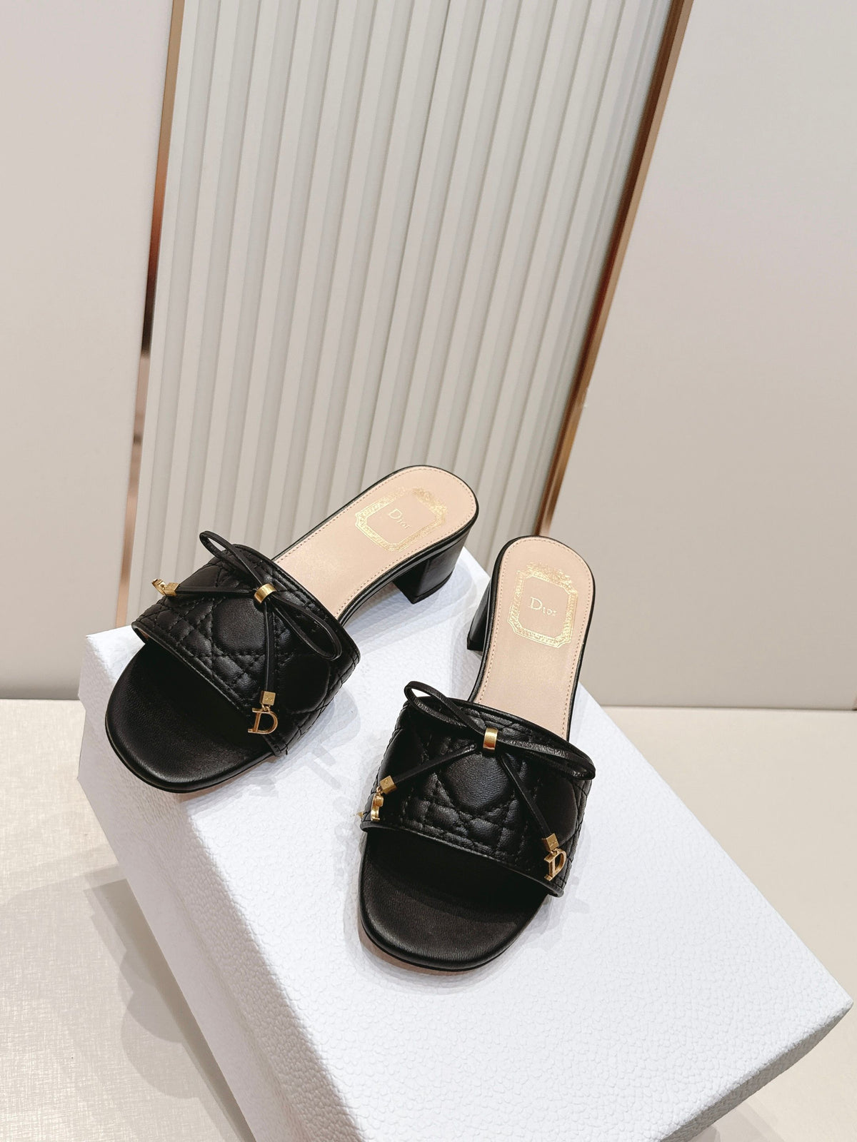 Dior Mules Sandals