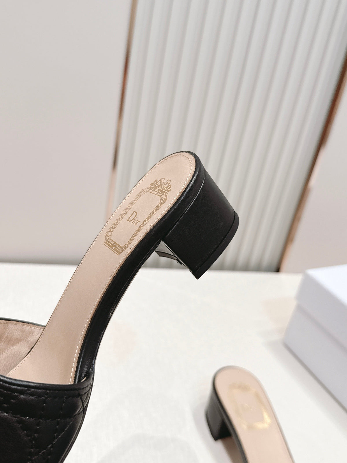 Dior Mules Sandals