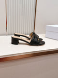 Dior Mules Sandals