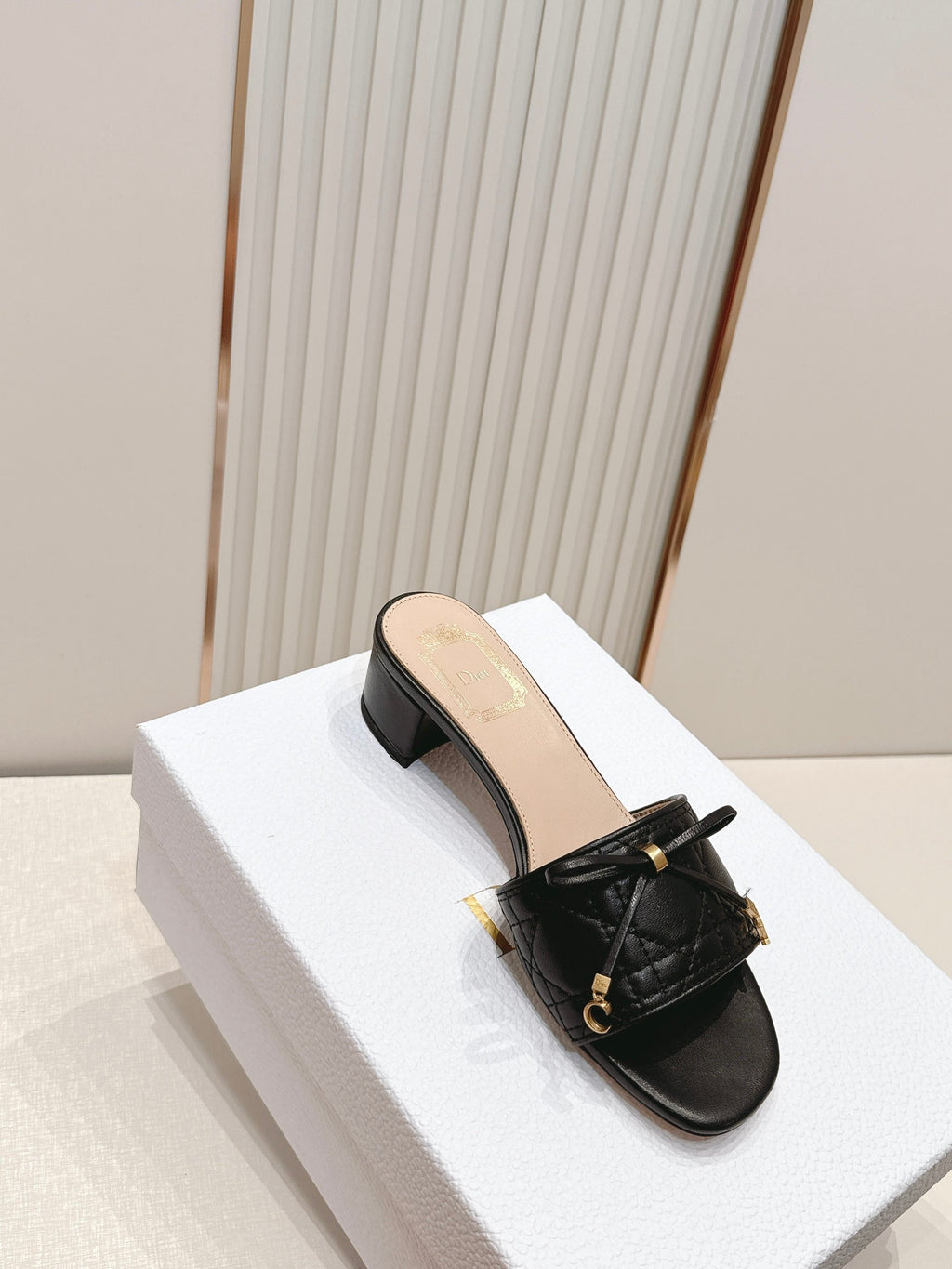 Dior Mules Sandals