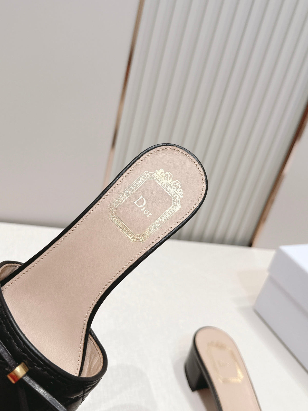 Dior Mules Sandals